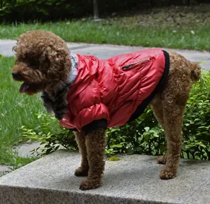 Kokkino xeimerino mpoufan dog clothing gia katoikidia me plaid giaka zesto!