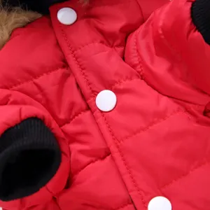 Detail view of red pet winter coat with white buttons and warm fleece collar for small dogs.