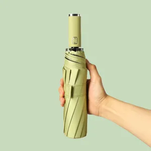 Compacte automatische opvouwbare paraplu met 10 ribben in saliegroen