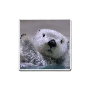 Broche en métal loutre de mer mignonne avec motif photographique de loutre blanche.