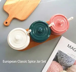 Barattolo per Spezie in Ceramica Nordica Europea Con Coperchio e Cucchiaio Contenitore per Spezie Smaltato Tondo Minimalista per Sale Zucchero Cucina