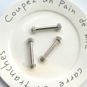 Edelstahl Schrauben und Muttern Set Detailansicht, langlebige Metallhardware.