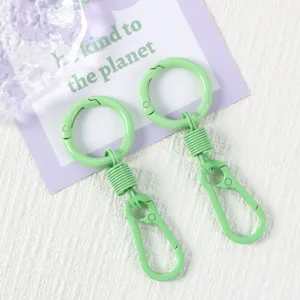 Close-up detail of light green metal spring keychain and carabiner ring with smooth paint.