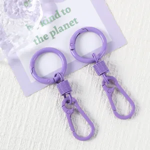 Purple metal spring ring keychain set, colorful paint carabiner for car keys and bags.