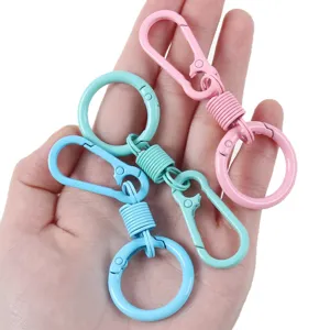 Colorful spring ring keychain carabiner set, metal baked paint bag pendant and car key holder.