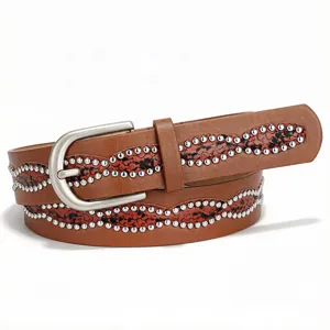 Detailed shot of a brown fashion belt featuring silver rivets and snake pattern