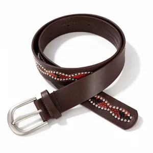 Detail of brown leather belt with red snakeskin pattern and sparkling silver rhinestones.
