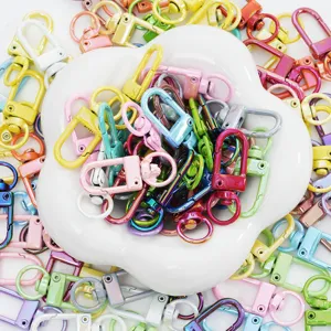Chiusure a moschettone colorate in lega di zinco per portachiavi e accessori fai-da-te moda.