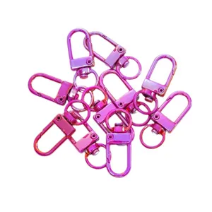 Set di chiusure a moschettone in lega di zinco iridescente per portachiavi DIY e borse