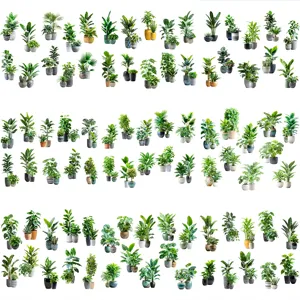 Detailed collage showing various tropical green potted plant styles for wall decor stickers
