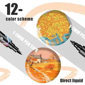Acrylmarker Stifte Set 12 Farben Doppelspitze direkte Flüssigkeit Kunstmalerei Graffiti Stifte.