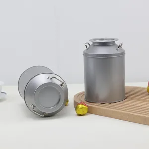 Silver tinplate tea canister retro double ear storage box for loose leaf tea and organizer.