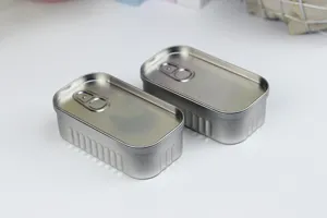 Boite en metal forme sardine conteneur de stockage vide pour petits objets et bricolage