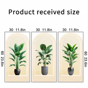 Dimensions showing three 30x60cm green plant wall stickers in minimalist black pots