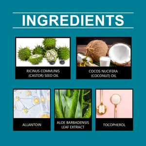 Detailed ingredient breakdown showing natural castor oil and aloe for men's fragrance stick