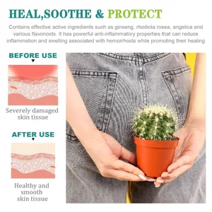 Effective hemorrhoid treatment cream and capsules with natural plant extracts for fast relief.
