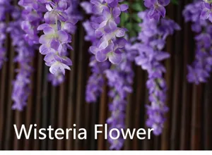 Detailed macro view of lifelike artificial purple wisteria hanging flower strings