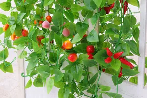 Dettaglio di viti di frutta artificiale con foglie verdi realistiche e mini frutti