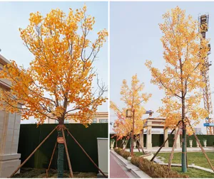 Close-up of artificial ginkgo trees with yellow leaves in an outdoor landscape setting
