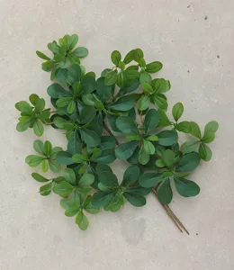 Detailed view of artificial green foliage leaves branch, ideal for home indoor decor display.