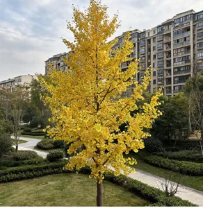 Ramo di albero di ginkgo artificiale foglia gialla autunnale pianta finta decorazione casa