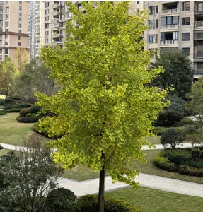 Foglia di ginkgo artificiale decorazione autunnale ramo di pianta finta gialla per casa.