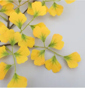 Primo piano di un ramo di ginkgo artificiale con foglie autunnali gialle e verdi vivaci.