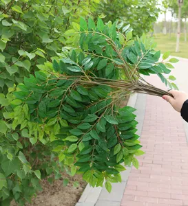 Rami di olmo artificiali finte foglie di piante verdi per decorazione paesaggistica casa
