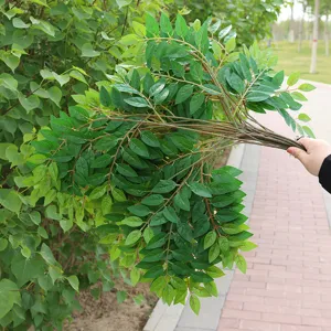 Rametto di foglia di olmo artificiale pianta verde fogliame per decorazione