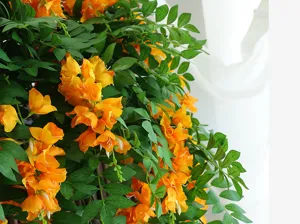 Vista macro dettagliata di fiori appesi artificiali arancioni vivaci e foglie