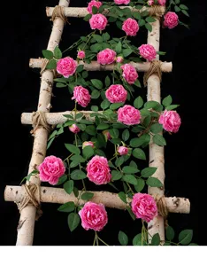 Detailansicht von künstlichen rosa Pfingstrosenranken an einer Holzleiter-Attrappe.