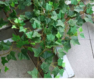 Close-up of realistic artificial ivy vines with green leaves for home wall decoration