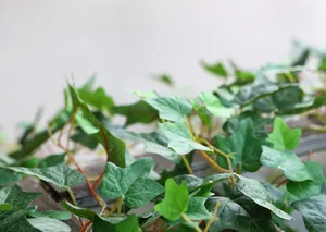 Close-up detail of artificial ivy leaves showing realistic texture and vein patterns
