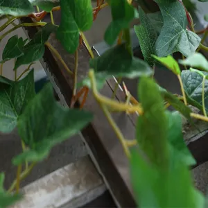 Macro detail showing artificial green ivy leaves with realistic veins wrapped around wood