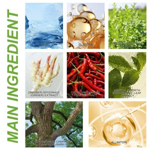 Natural herbal knee pain relief patch main active ingredients detail infographic display view.