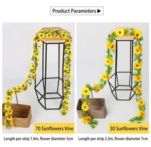 Comparaison des spécifications des lianes de tournesol, longueurs de 1,9 m et 2,3 m.