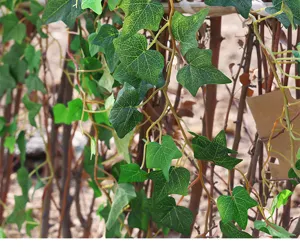Macro detail of artificial ivy vine leaves with realistic green texture on a fence