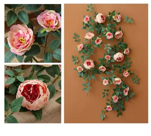 Detalle de cerca y vista completa de enredaderas de peonías rosas para decoración