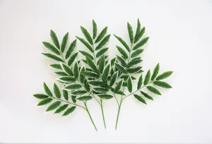 Artificial green leaves branches with white edges for home decor and floral arrangement detail view.
