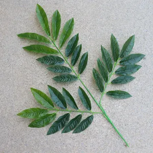 Artificial green leaves branch fake foliage for home indoor decoration landscaping setup display