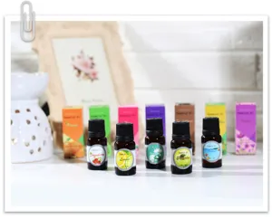 Huile essentielle d'aromathérapie pour humidificateur, set de flacons de 10ml aux parfums variés.