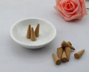 Vista detallada de un plato minimalista de cerámica blanca de 4 pulgadas con conos.