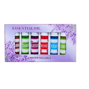 Set di 6 oli essenziali idrosolubili da 5 ml per umidificatore e diffusore aromi