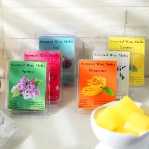 Scented wax melts set with long lasting fragrance for home relaxation and DIY candle making.