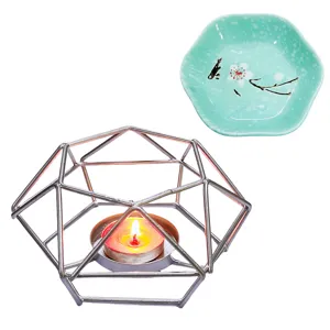 Bruciatore per Aromaterapia in Ferro e Ceramica con Vassoio di Fiori di Prugno e Portacandele Geometrico in Metallo per Decorazioni