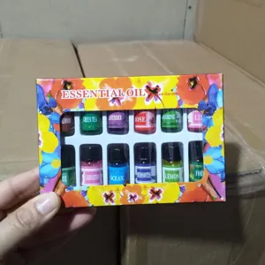 Set 12 pz 3ml oli essenziali per aromaterapia fragranza per la casa scatola regalo relax