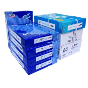 Papier copie A4 standard 80g 500 feuilles par rame fourniture impression bureau pro