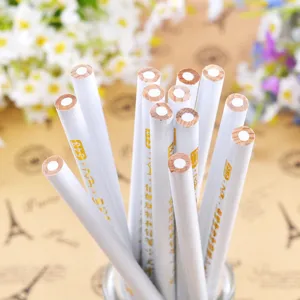 Close-up of professional white charcoal sketching pencils for highlighting