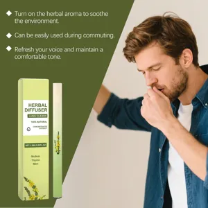 Kruiden diffuser stick voor aromatherapie met natuurlijke molm tijm munt extracten 1.5ml