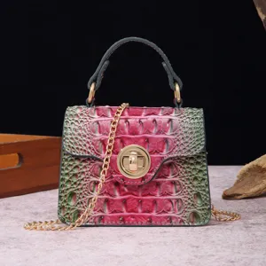 Detailed front view of a vintage crocodile embossed crossbody handbag with gold chain